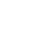 brain(1)